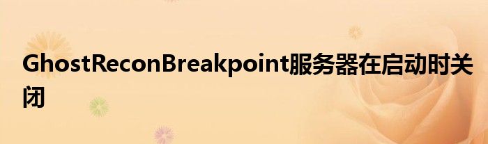 GhostReconBreakpoint服务器在启动时关闭