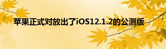 苹果正式对放出了iOS12.1.2的公测版